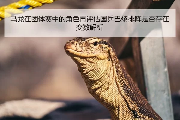 马龙在团体赛中的角色再评估国乒巴黎排阵是否存在变数解析