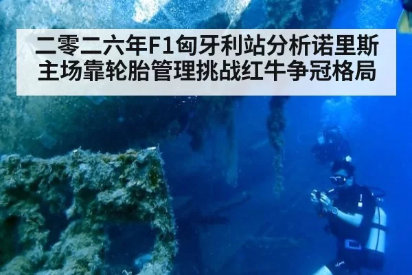 二零二六年F1匈牙利站分析诺里斯主场靠轮胎管理挑战红牛争冠格局