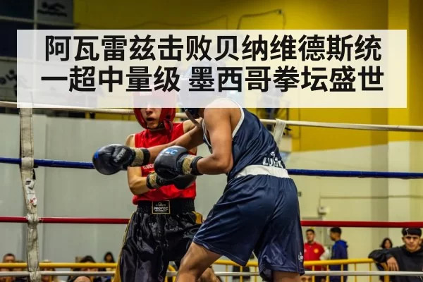 boxer in ring