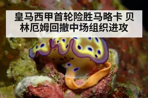 皇马西甲首轮险胜马略卡 贝林厄姆回撤中场组织进攻